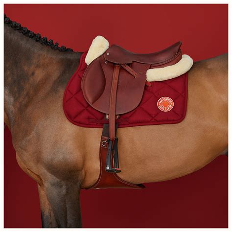 hermes caballo|hermes horse riding gear.